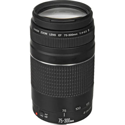 Canon EF 75-300mm f/4-5.6 III Lens (USED)