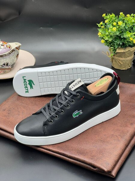 Lacoste mens shoe