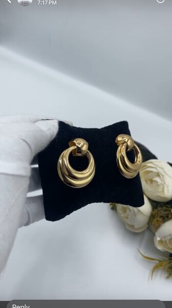Ladies earrings