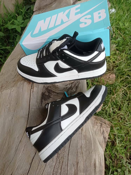 Chaussure NIKE SB DUNK noir blanc