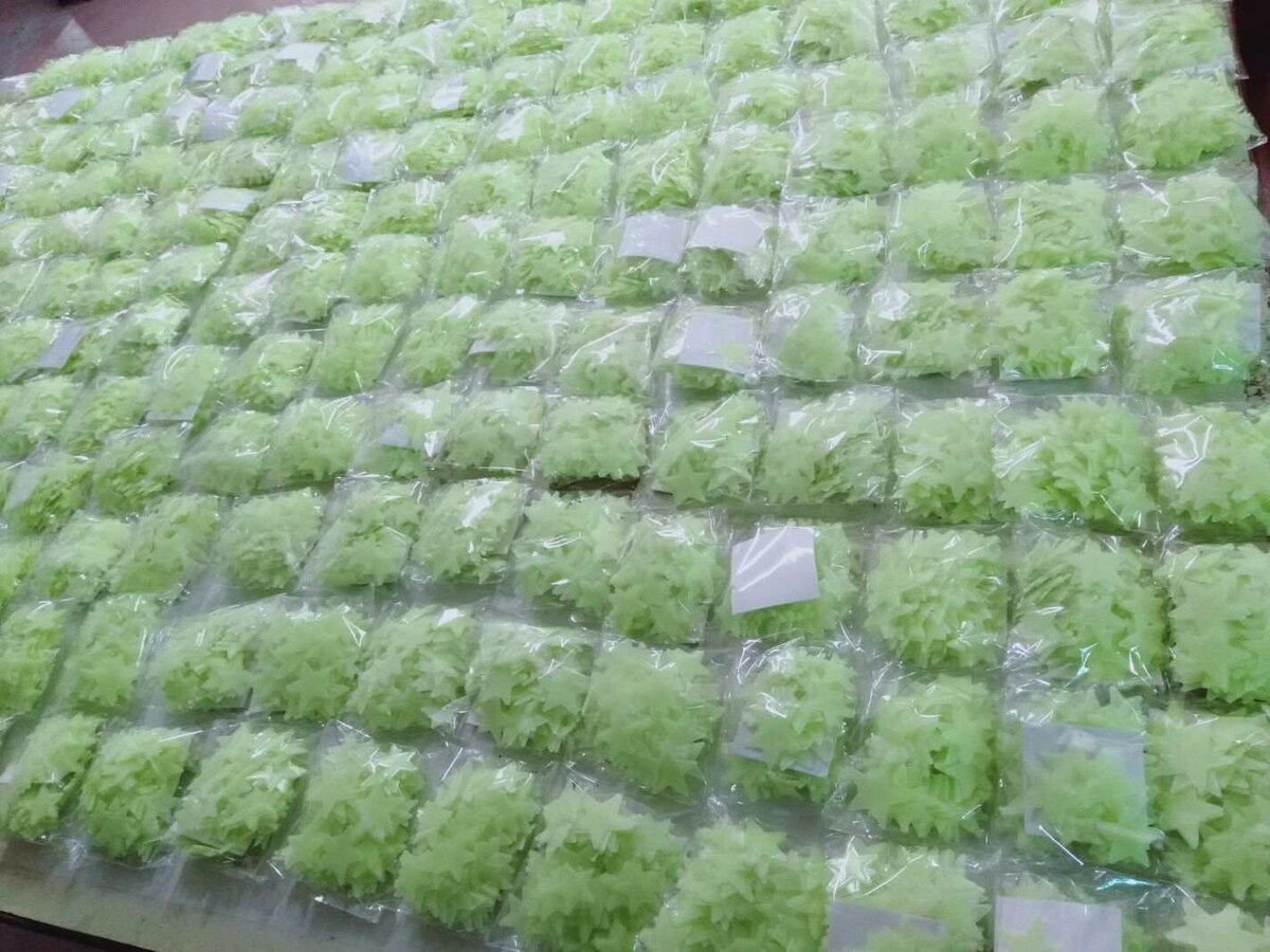 Etoile fluorescente de decoration