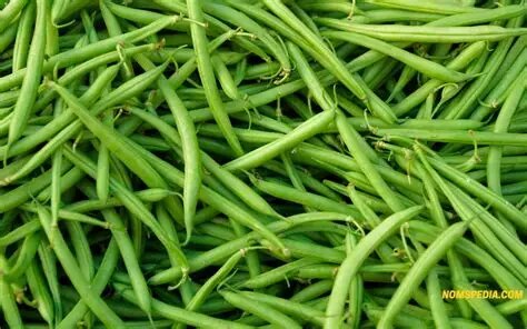 Haricots verts frais bio