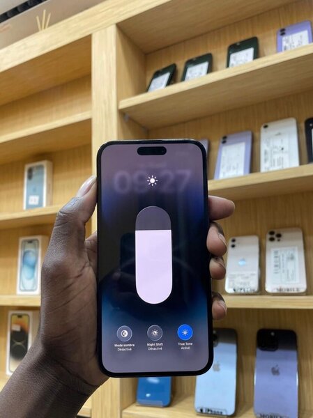 iPhone 14 Pro Max Argent