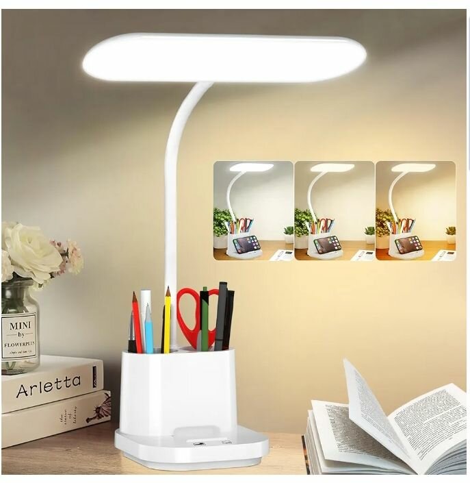 Desk Lamps chargeable.