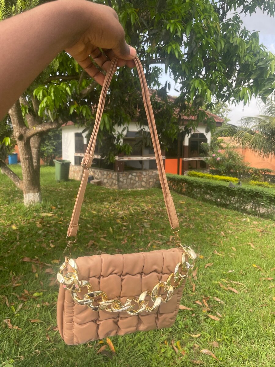 Ladies handbags