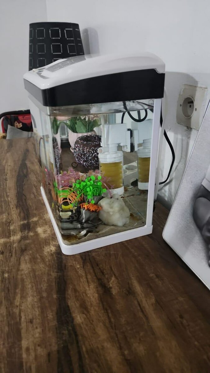 Aquarium compact avec poissons