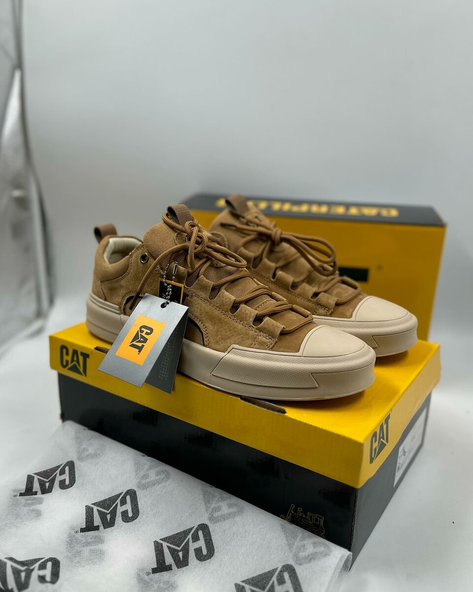 Authentic recommended CAT