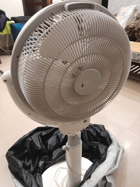 Royal pedestal fan