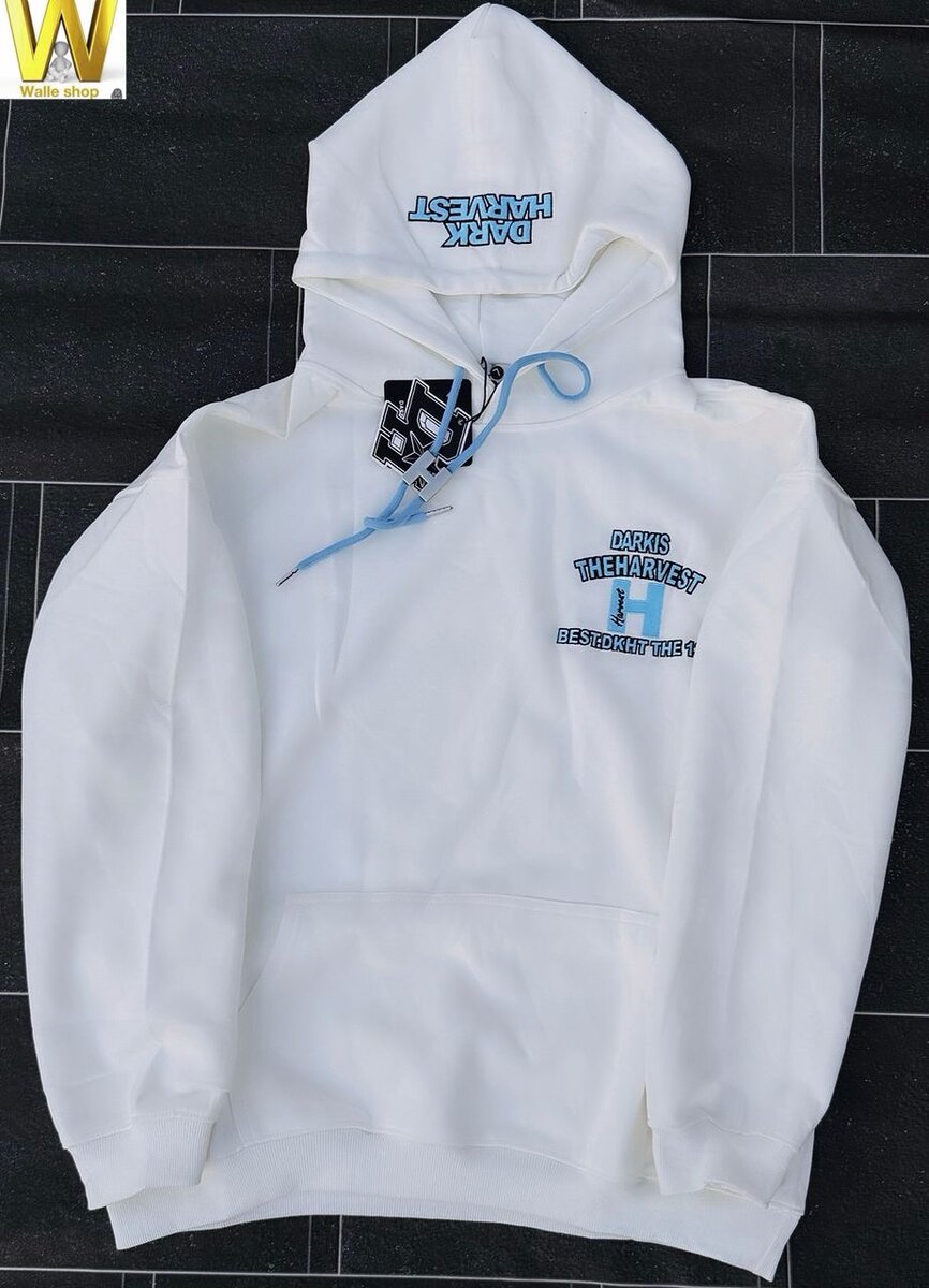 Sweat à capuche stylé hommes