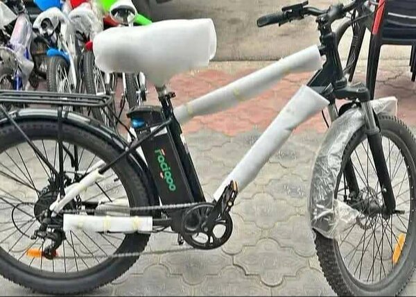 Vélo électrique puissant Rodoo