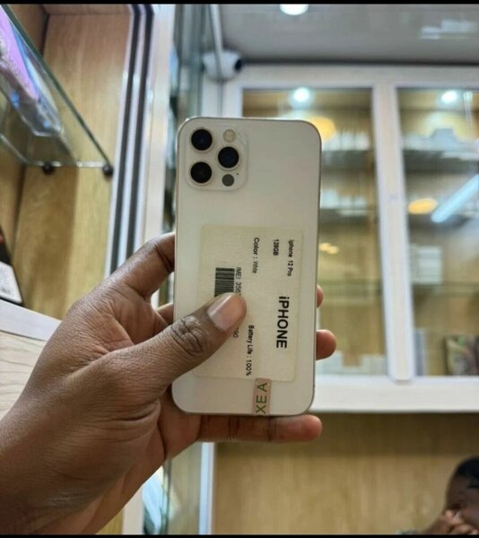 iPhone 13 Pro Max Blanc