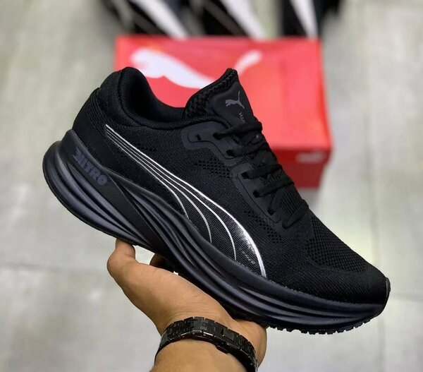 Puma noires