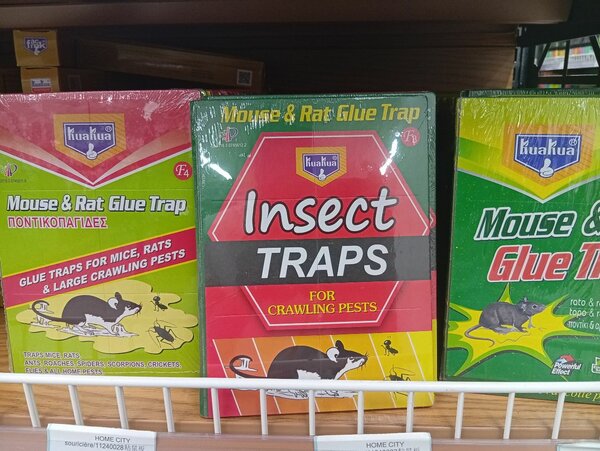 Pièges à colle pour souris et rats