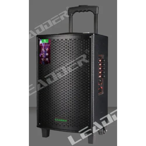 Enceinte Portable Puissante