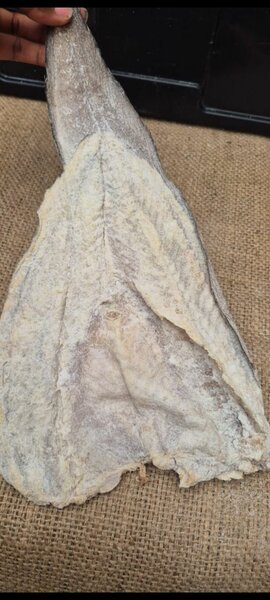 Lotte Salée qualité supérieure