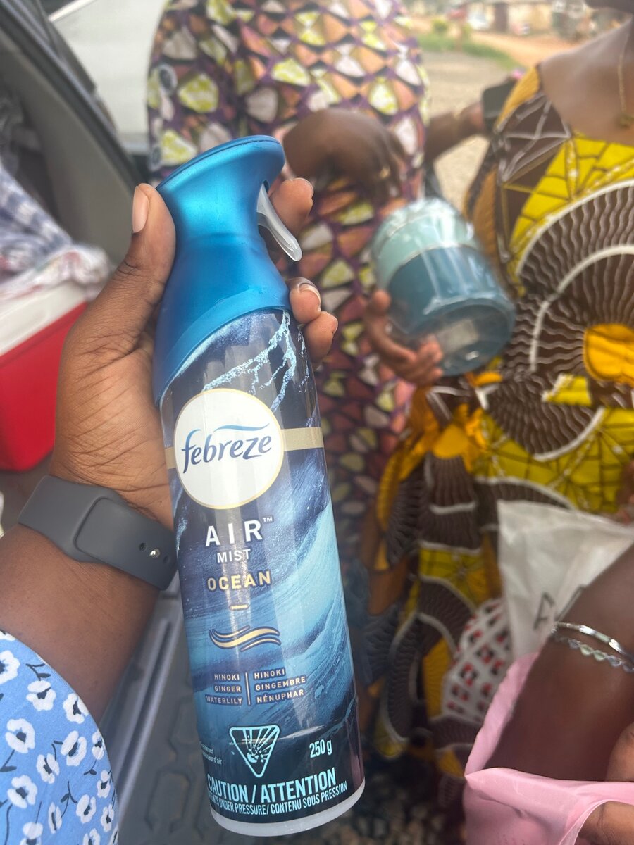 Dove body wash and Febreze