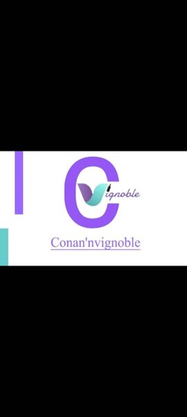 Conan'nvignoble 