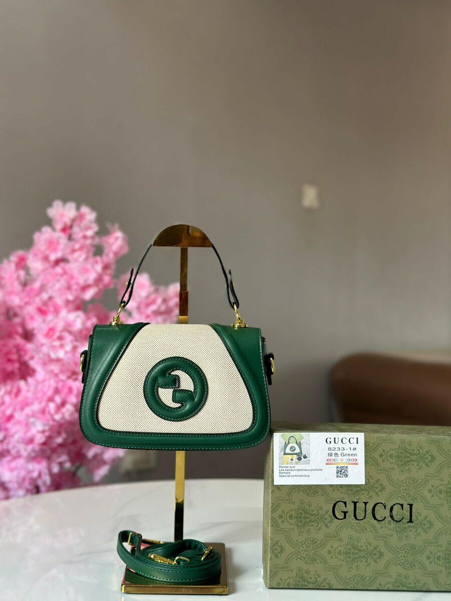 Gucci bag
