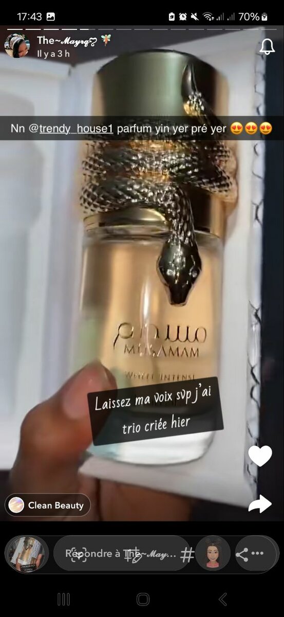 Bague en Or Stylisée