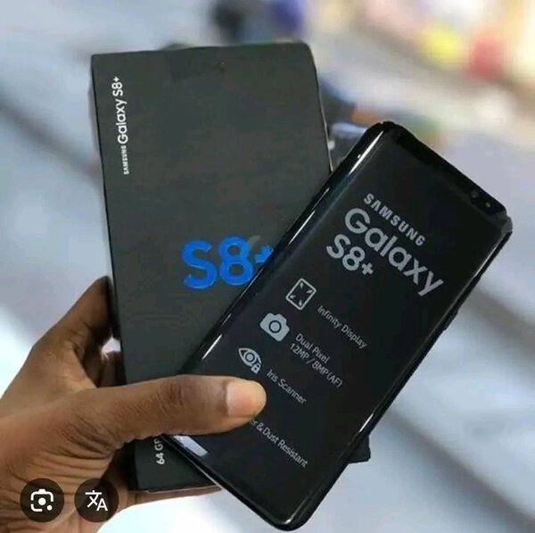 Samsung Galaxy S8+ Smartphone