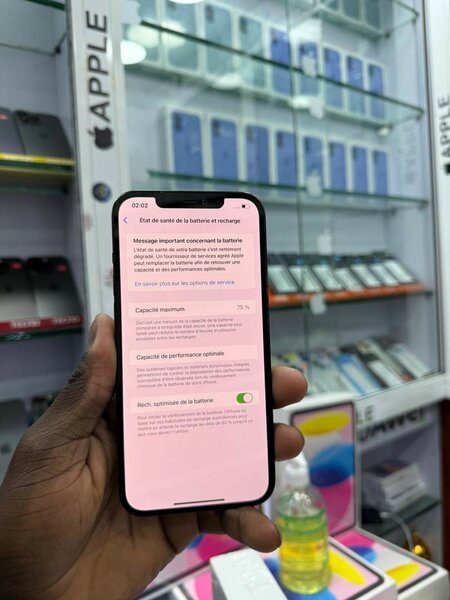 Apple casi neuf 12pro max