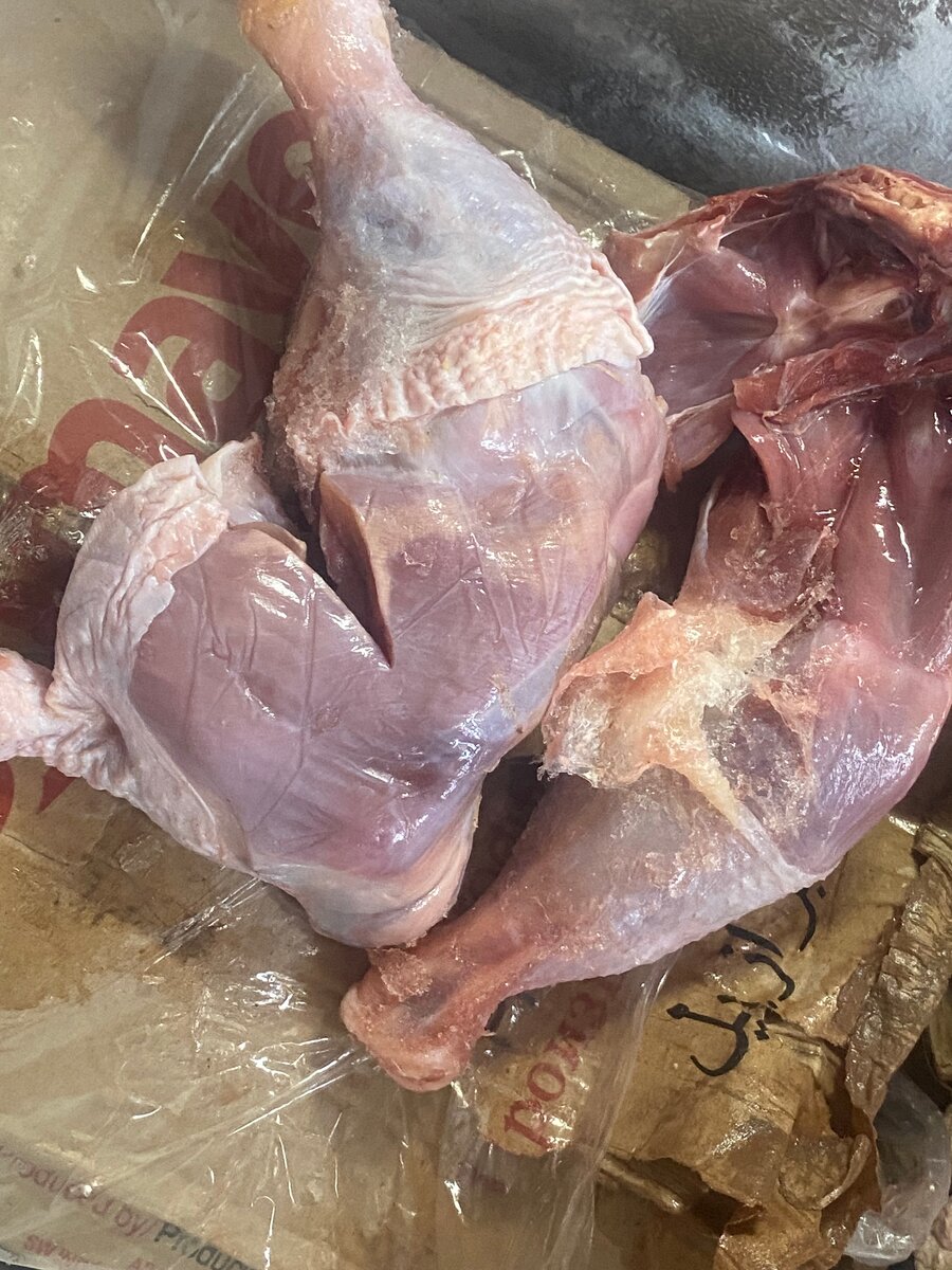 2grosse cuisse de pondeuse