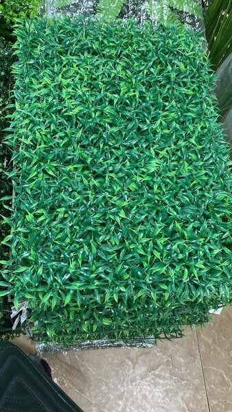 Mur vegetal