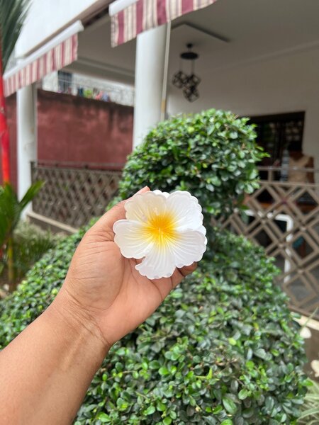 Fleurs Décoratives à Cheveux