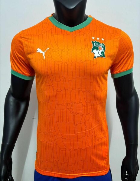 Maillot Côte d'Ivoire Puma