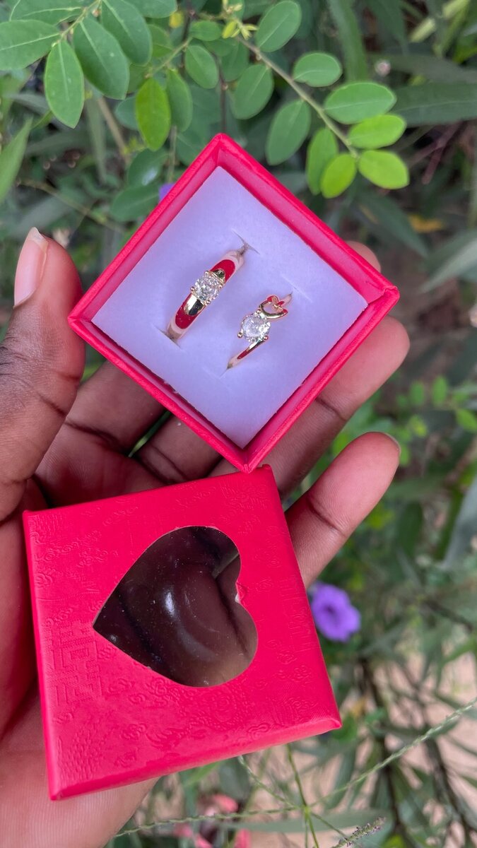 Bague et boucle d'oreille élégantes