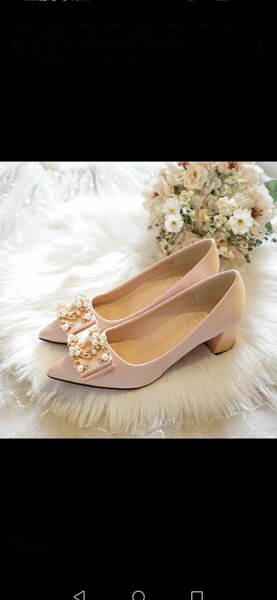 Big tree and Anniali