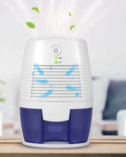 Déshumidificateur Domestique Compact