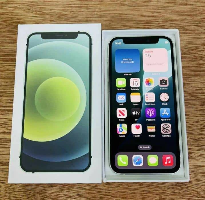 iPhone 12 Pro Max 256 Go