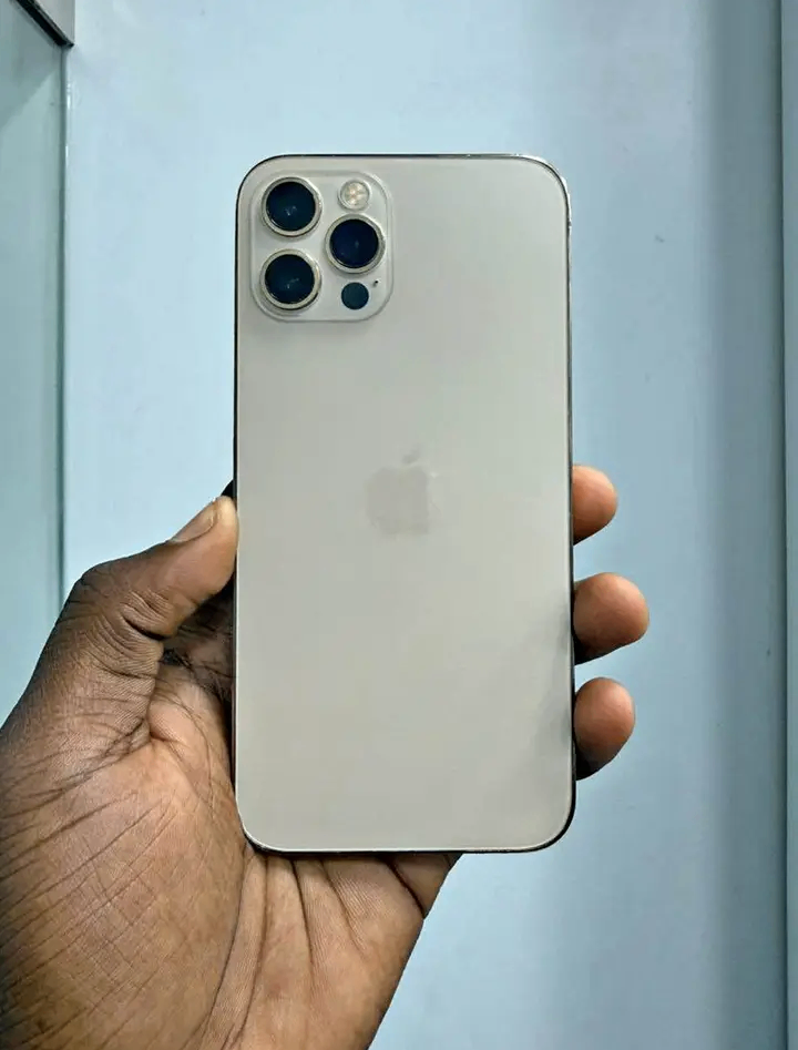 iPhone 12 Pro Argent