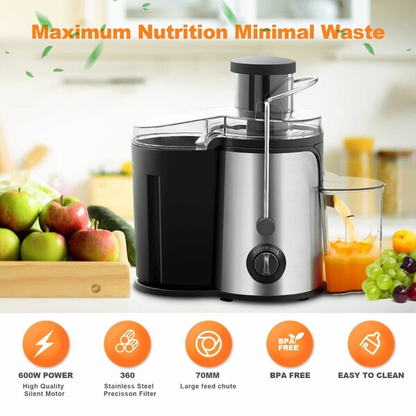 Electric Juicer