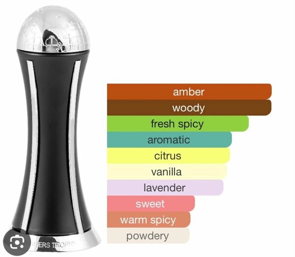 Winners trophy silver