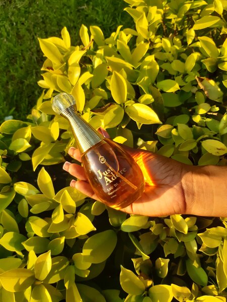 Parfum Luxueux Eau de Parfum