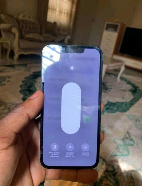 Smartphone Apple Haut de Gamme