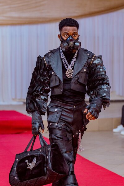 Costume (stage, party,and afro)