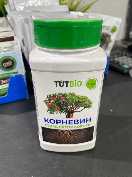 Корневин