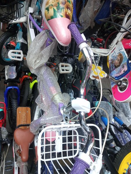 China cycle champion company