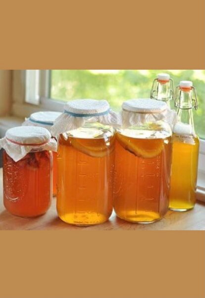 Kombucha maison bio