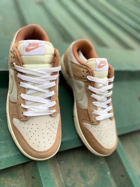 Nike SB