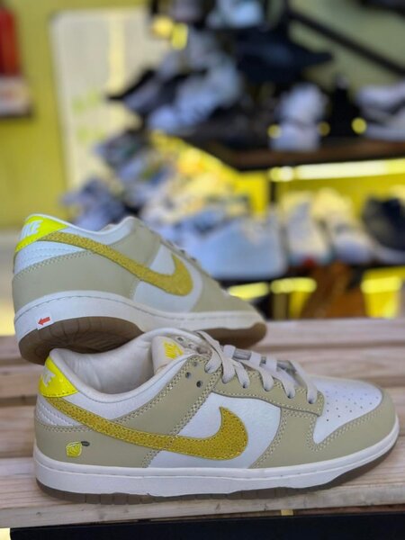 Nike sb shoes
