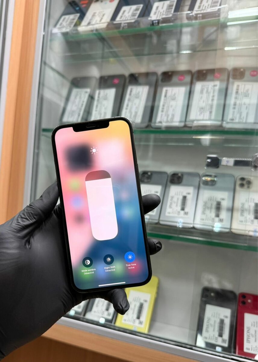 12 Pro Max 128Go tout est dor