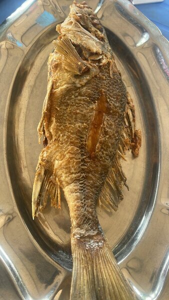 Poisson Sosso frit très grand