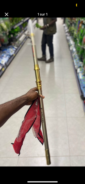 Canne à pêche télescopique