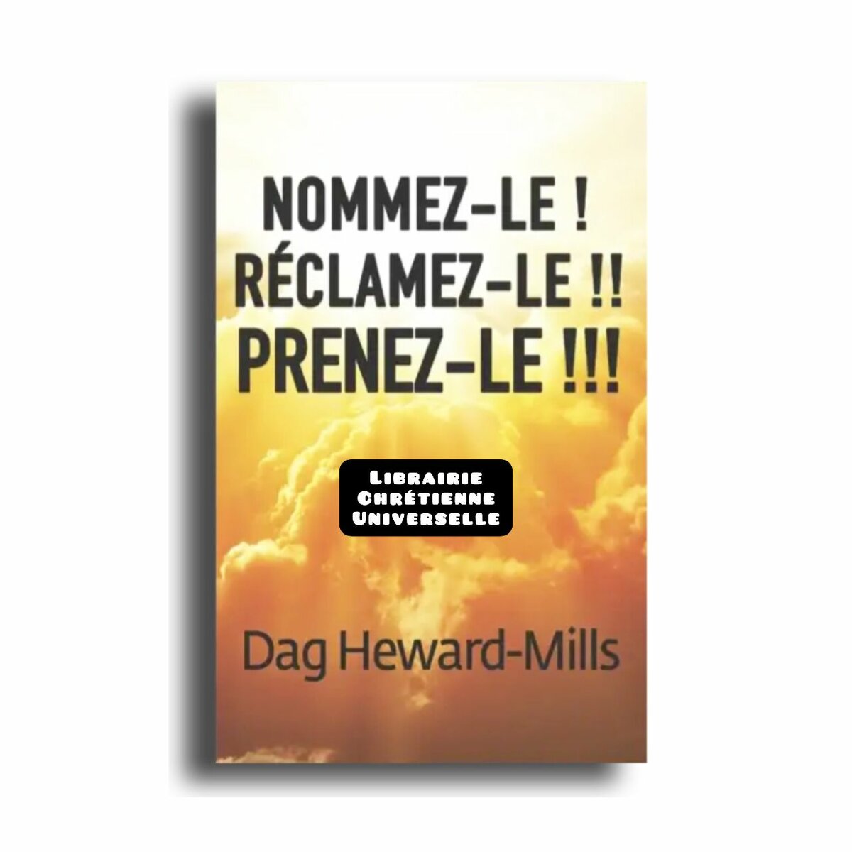 Livres Inspirants de Dag Heward-Mills