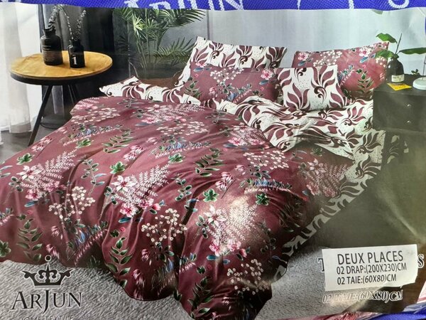 2 draps de lit 3 places+ 2 tai