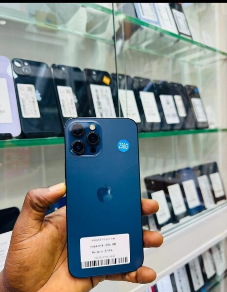 iPhone 12 Pro Max 256Go Bleu